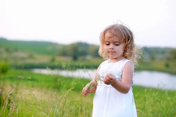 Little girl in a green field with a big dandelion on the background of the lake — Stock Photo, Image