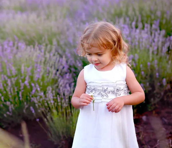 Cute little girl w białej sukience wspina się drewniane schody w naturze — Zdjęcie stockowe