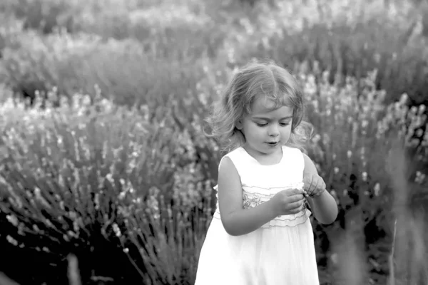 Χαριτωμένο κοριτσάκι σε ένα λευκό φόρεμα ανεβαίνει μια ξύλινη σκάλα στη φύση — Φωτογραφία Αρχείου