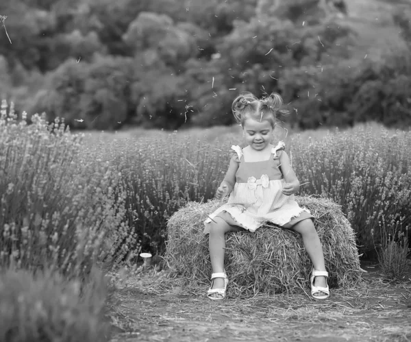 Baby i syrenklänning leker hö på ett lavendelfält — Stockfoto