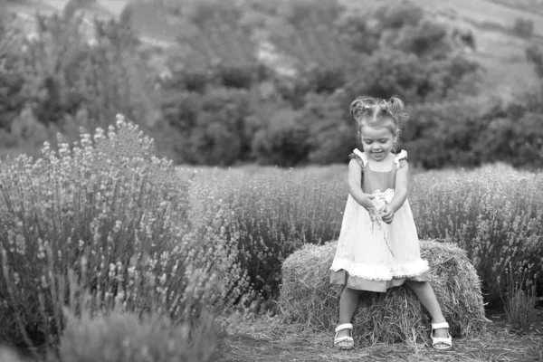 Dziecko w liliowej sukience gra siano na polu lawendy — Zdjęcie stockowe