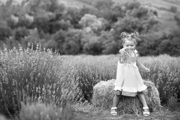 baby in a lilac dress plays hay in a lavender field