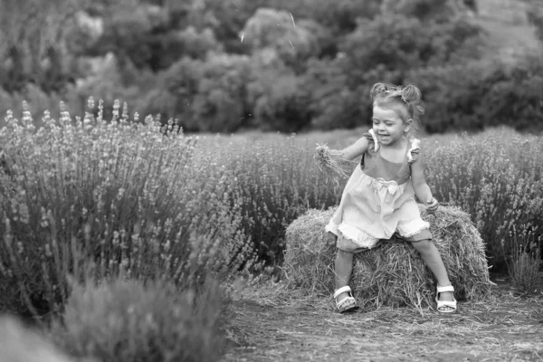 Dítě v šeříkových šatech hraje seno v levandulovém poli — Stock fotografie