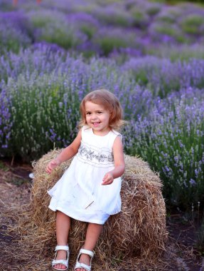 Beyaz elbiseli küçük kız lavanta tarlasında bir ahırda oturuyor.