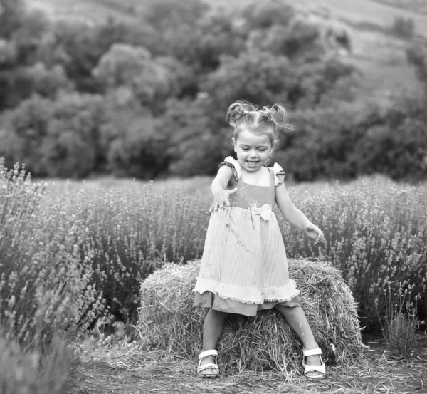 Baby im fliederfarbenen Kleid spielt Heu in einem Lavendelfeld — Stockfoto