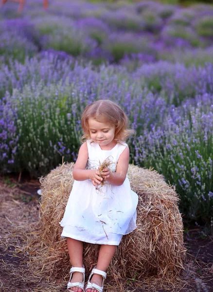 Klein meisje in een witte jurk zit op een kribbe in een lavendel veld — Stockfoto