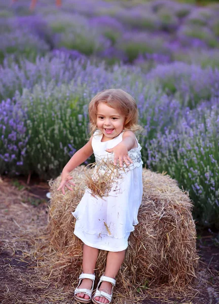 Klein meisje in een witte jurk gooit hooi in een lavendel veld — Stockfoto