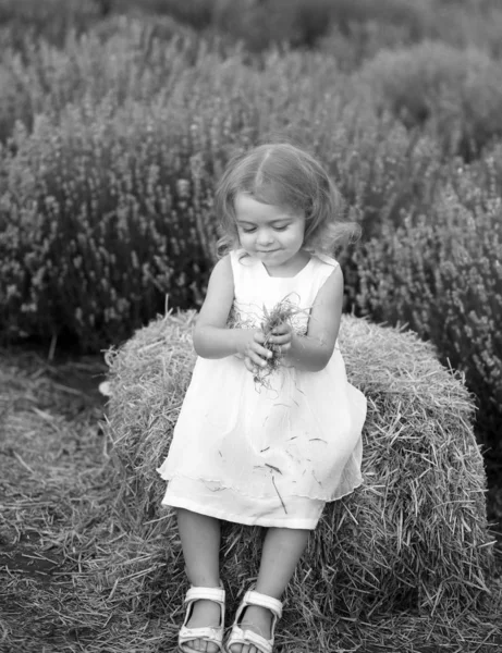 Klein meisje in een witte jurk zit op een kribbe in een lavendel veld — Stockfoto