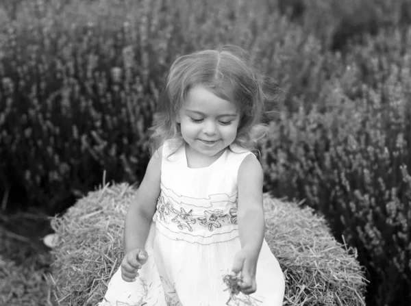 Baby in a white dress plays with hay in a lavender field — Stock Photo, Image