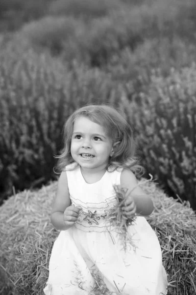 Baby in a white dress plays with hay in a lavender field — Stock Photo, Image
