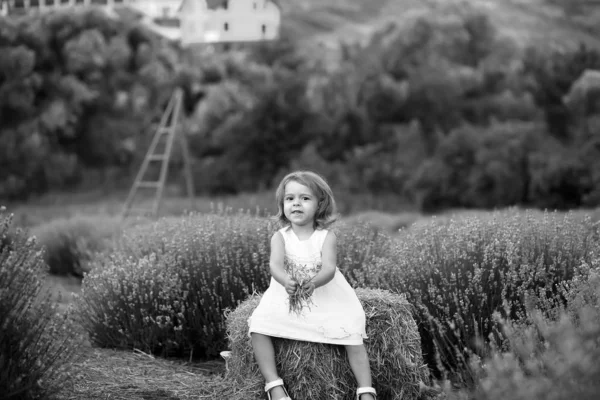 Baby i en vit klänning leker med hö i en lavendel fält — Stockfoto