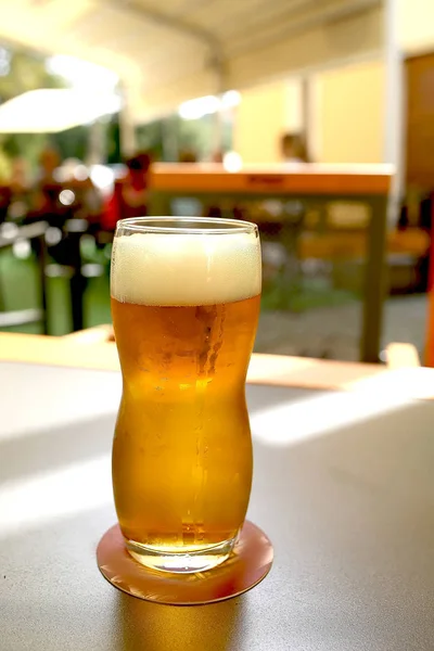 Bira bardağı bir barda, ahşap bir masada duruyor. — Stok fotoğraf