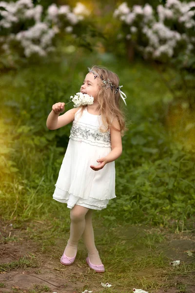 Little girl in a white dress walks in the spring botanical garden — Stock Photo, Image