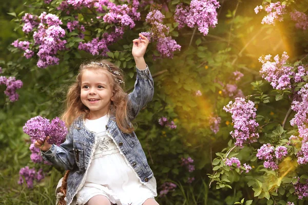 Niña camina en el jardín botánico de primavera donde lila —  Fotos de Stock