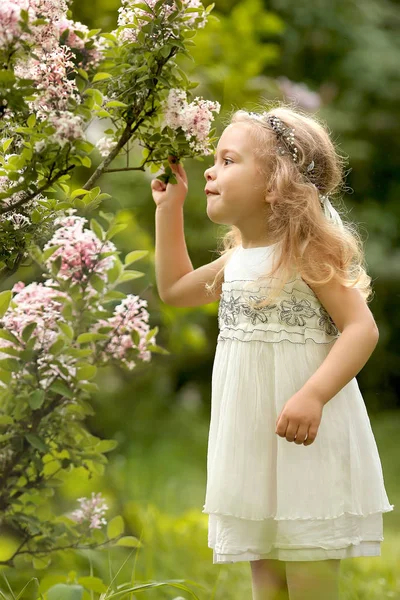 Holčička v bílých šatech procházky v jarní botanické zahradě — Stock fotografie