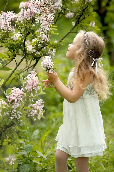 Holčička v bílých šatech procházky v jarní botanické zahradě — Stock fotografie