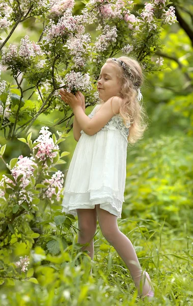 Little girl in a white dress walks in the spring botanical garden — Stock Photo, Image