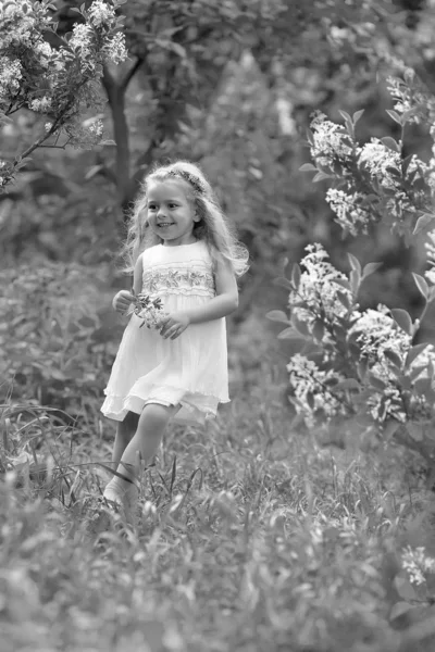 Little girl in a white dress walks in the spring botanical garden — Stock Photo, Image