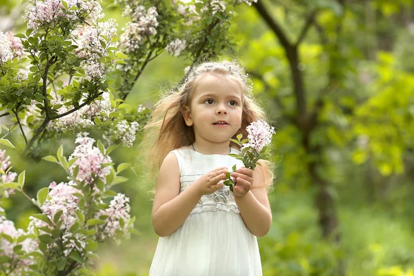 Kleines Mädchen im weißen Kleid spaziert durch den Botanischen Garten des Frühlings — Stockfoto