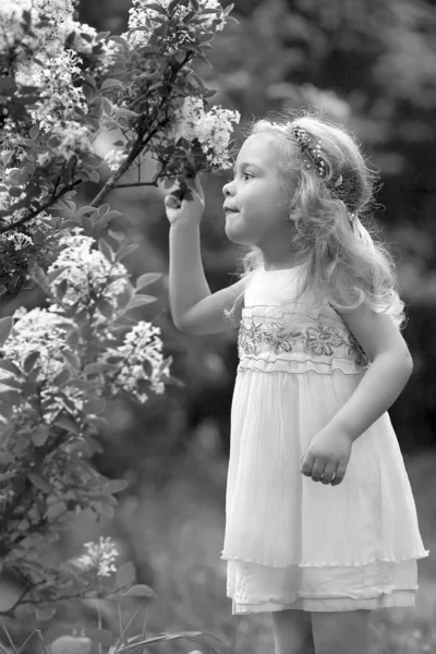 하얀 드레스를 입은 어린 소녀가 봄 식물원을 걷고 있습니다 — 스톡 사진