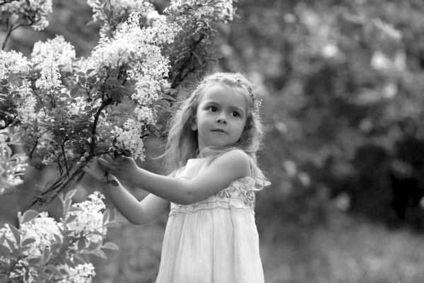 Little girl in a white dress walks in the spring botanical garden — Stock Photo, Image