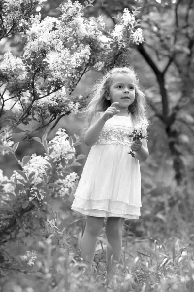 Little girl in a white dress walks in the spring botanical garden — Stock Photo, Image