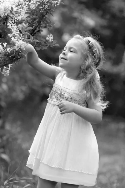 Little girl in a white dress walks in the spring botanical garden — Stock Photo, Image