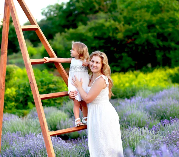 Mãe e pequena filha se divertir e caminhar no campo de lavanda — Fotografia de Stock