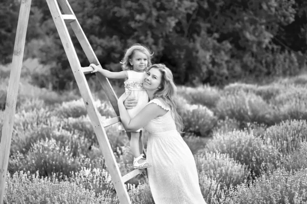 Mãe e pequena filha se divertir e caminhar no campo de lavanda — Fotografia de Stock