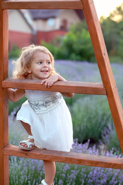 Klein meisje in een witte jurk klimt een houten trap in een lavendel — Stockfoto