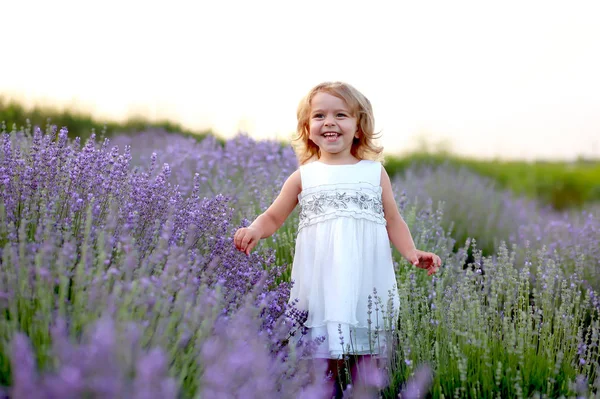 Little girl in a white dress walks in a lavender field at sunset — Stock Photo, Image