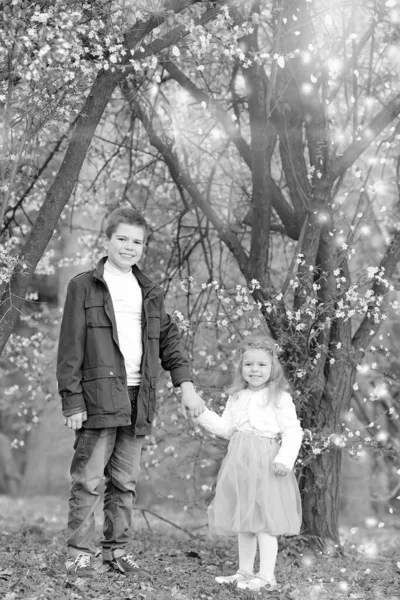 Glückliches Familienkonzept Einheimische Fröhliche Ältere Bruder Und Kleine Schwester Haben — Stockfoto