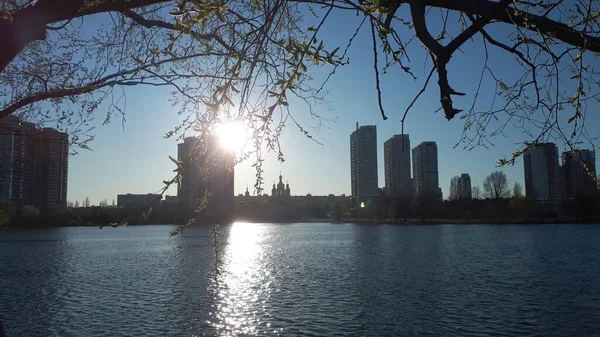 市内の春 湖と都市の高層ビル ベッドルームエリアの背景に開花木の枝 都市と自然の調和 ヨーロッパ — ストック写真
