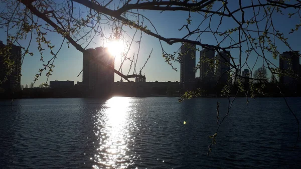 Primavera Ciudad Ramas Árboles Florecientes Fondo Del Lago Edificios Urbanos — Foto de Stock