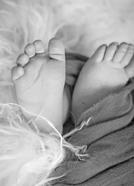 Bayi Kaki Bayi Yang Baru Lahir Potret Hitam Dan Putih — Stok Foto