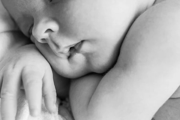 Retrato Blanco Negro Macro Disparo Mamá Bebé Concepto Familia Feliz —  Fotos de Stock