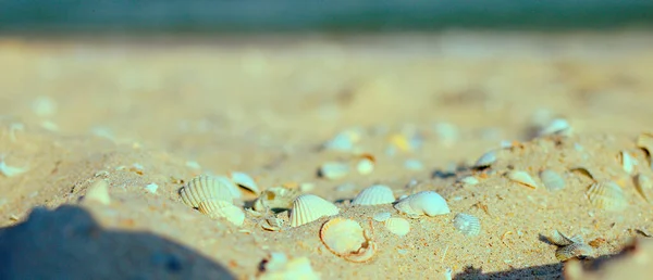 Textuur Achtergrond Zandkasteel Met Schelpen Stenen Het Strand Aan Zee — Stockfoto