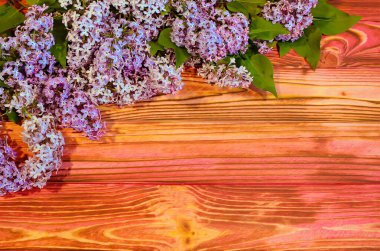 Tahtanın dokusuna sahip ahşap bir arka planda güzel leylak dalları, duvarda eski duvar kağıtları. En iyi bakış açısı. Çiçek konsepti. Sağ taraftaki boşlukName