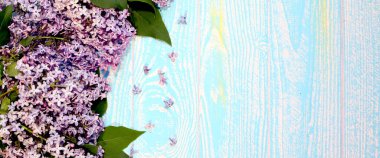 Tahtanın dokusuna sahip ahşap beyaz arkaplan üzerinde güzel leylak dalları olan pankart, duvarda eski duvar kağıtları. Üst manzara. Pring ve çiçek kavramı. Sağ taraftaki boşlukName