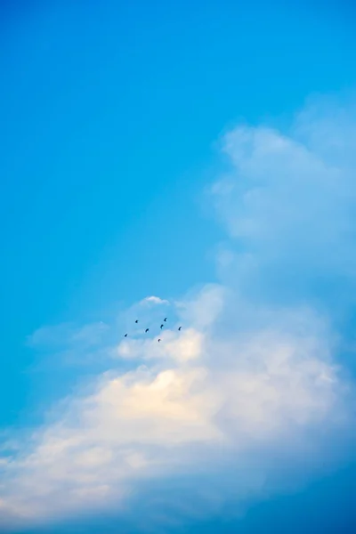 Klarer Blauer Himmel Hintergrund Morgen Eines Sonnigen Tages — Stockfoto