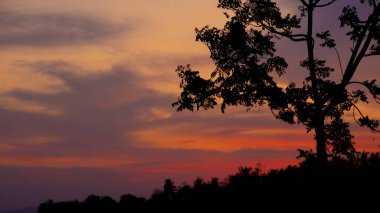 Ağaçların siluetiyle güzel bir gün batımı