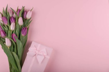 Bir buket taze kokulu pembe ve mor laleler ve pembe arka planda kadınlar günü için bir hediye. Anneler günü tebrikleri. Düz yat, boşluğu kopyala