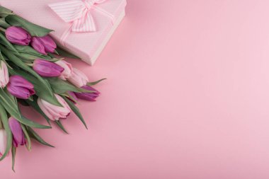 Bir buket taze kokulu pembe ve mor laleler ve pembe arka planda kadınlar günü için bir hediye. Anneler Günü..