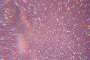 Altın rengi pembe pullar, parlak halılar. Yakın çekim, çok sığ alan derinliği, Macro.