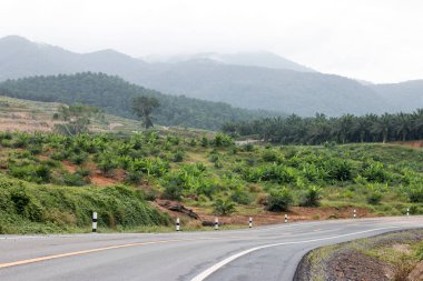 Tayland arka planda kırsal yollar