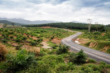 Tayland arka planda kırsal yollar