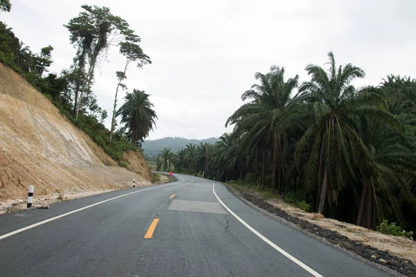 stock image Roads  rural  background.