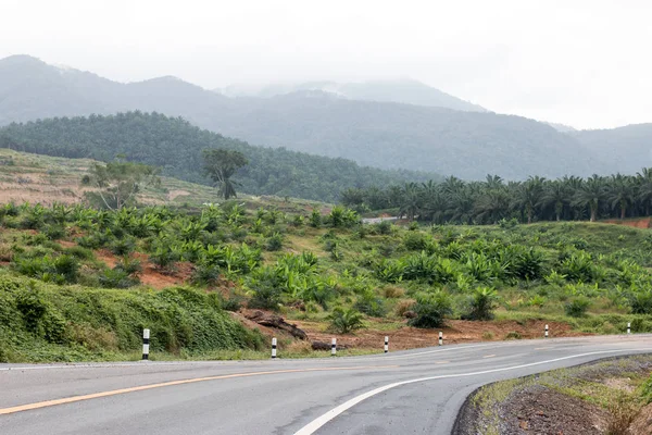 Tayland arka planda kırsal yollar