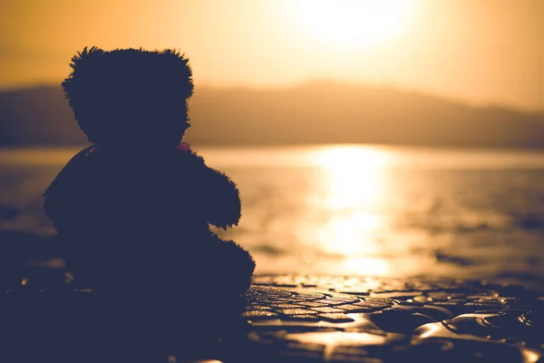 Silhouettes Teddy bear — Stock Photo, Image