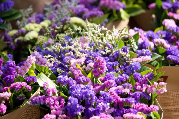 Vintage beautiful colored flowers. — Stock Photo, Image